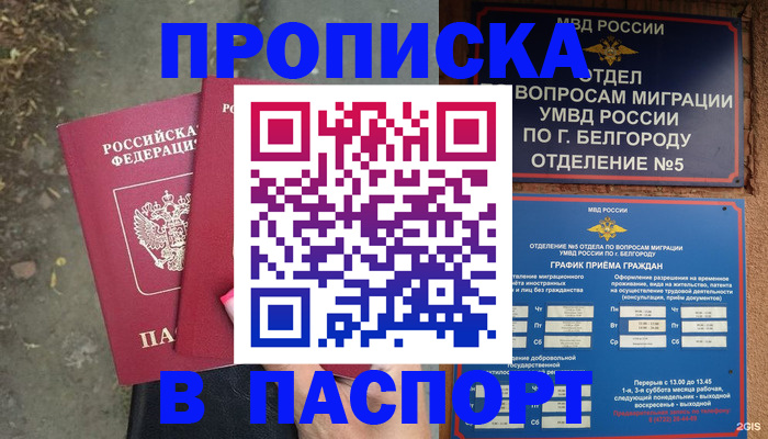 прописка в Димитровграде